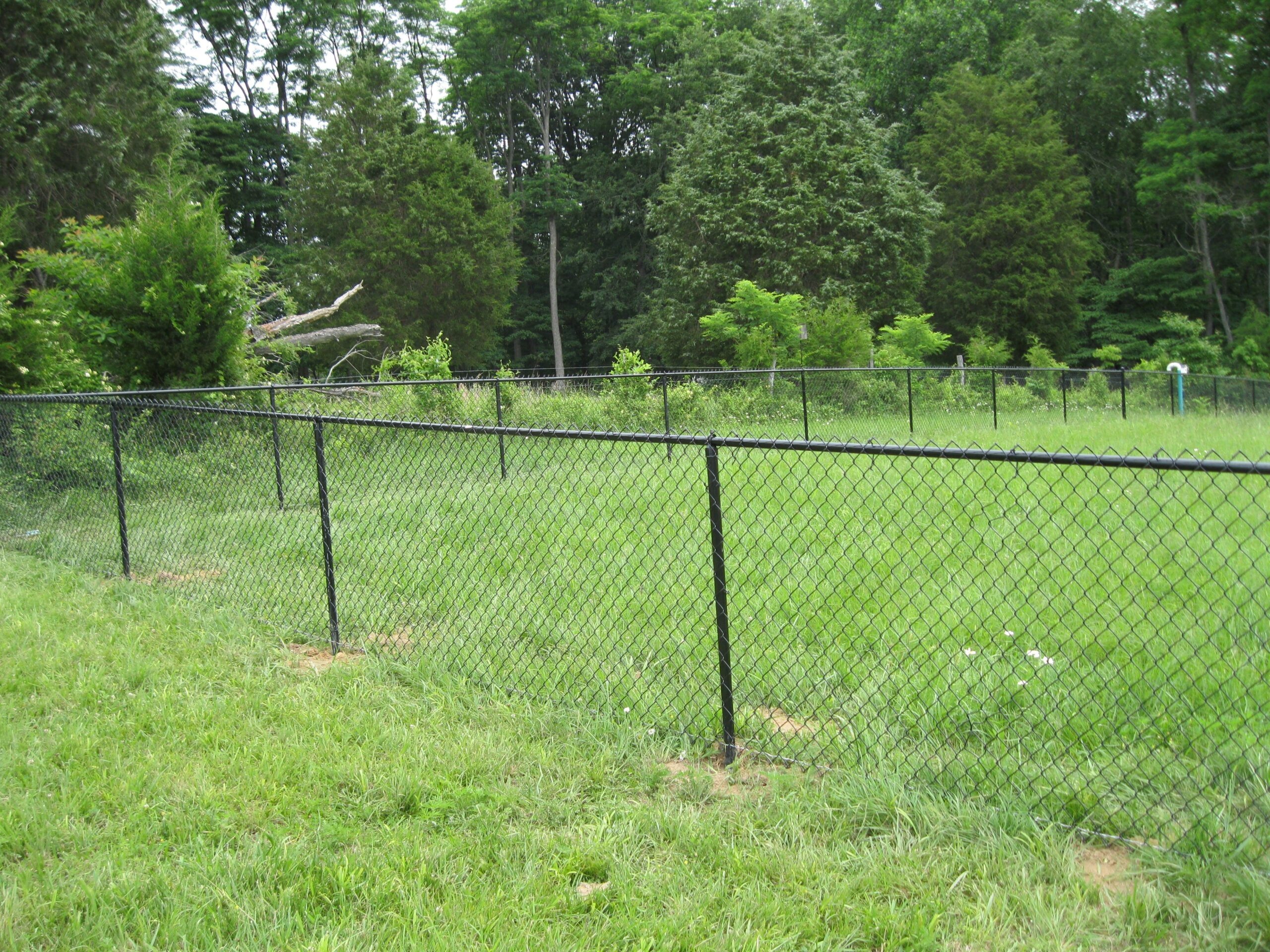 Black Coated Chain Link