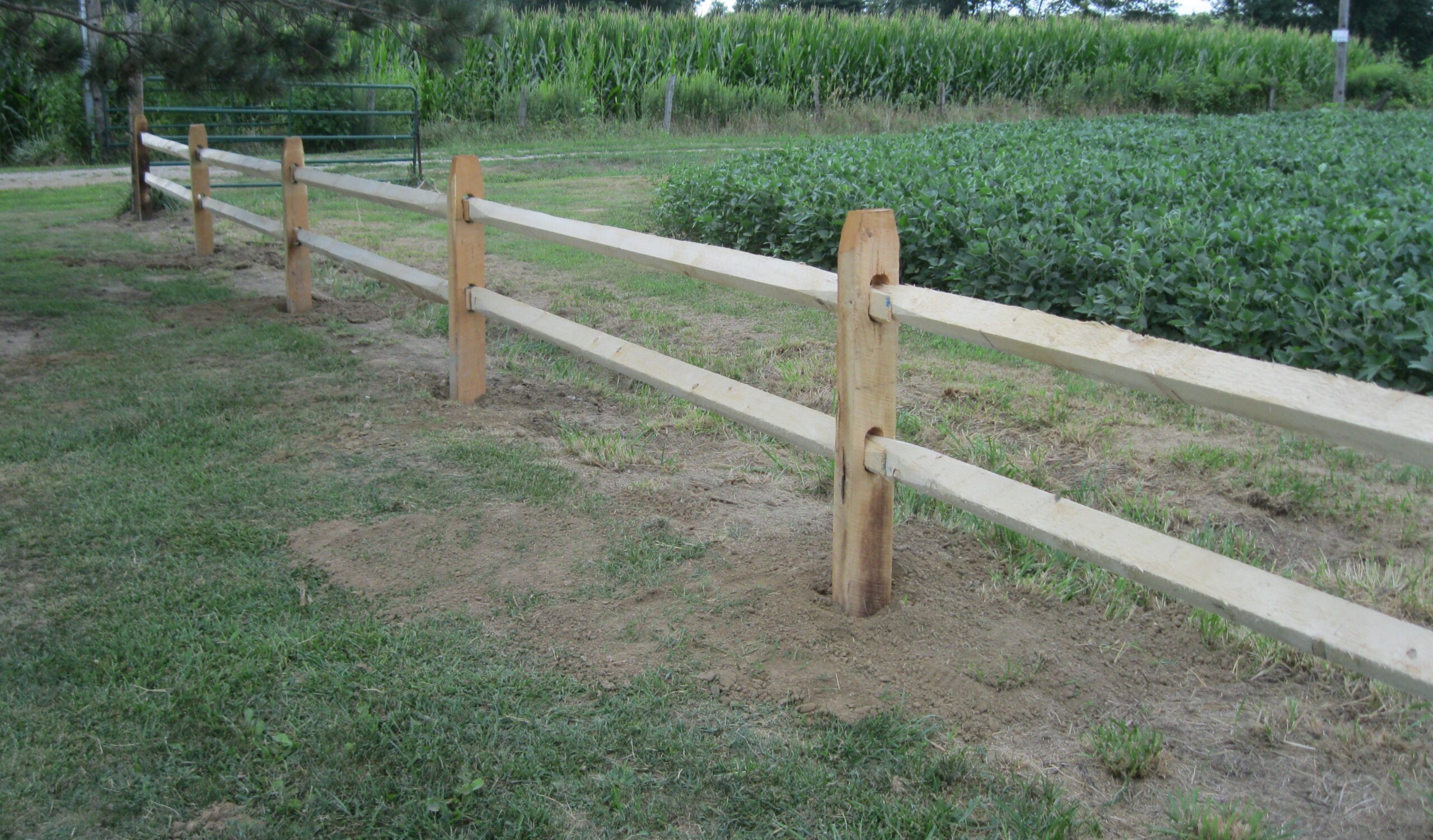 Rustic split rail fencing on open property